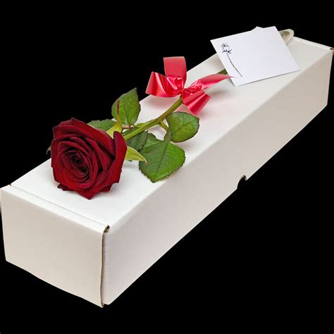 Single Rose Box